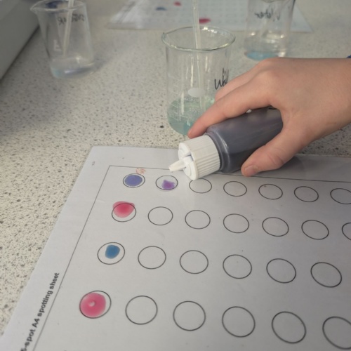 An Activity at the KLB taster day